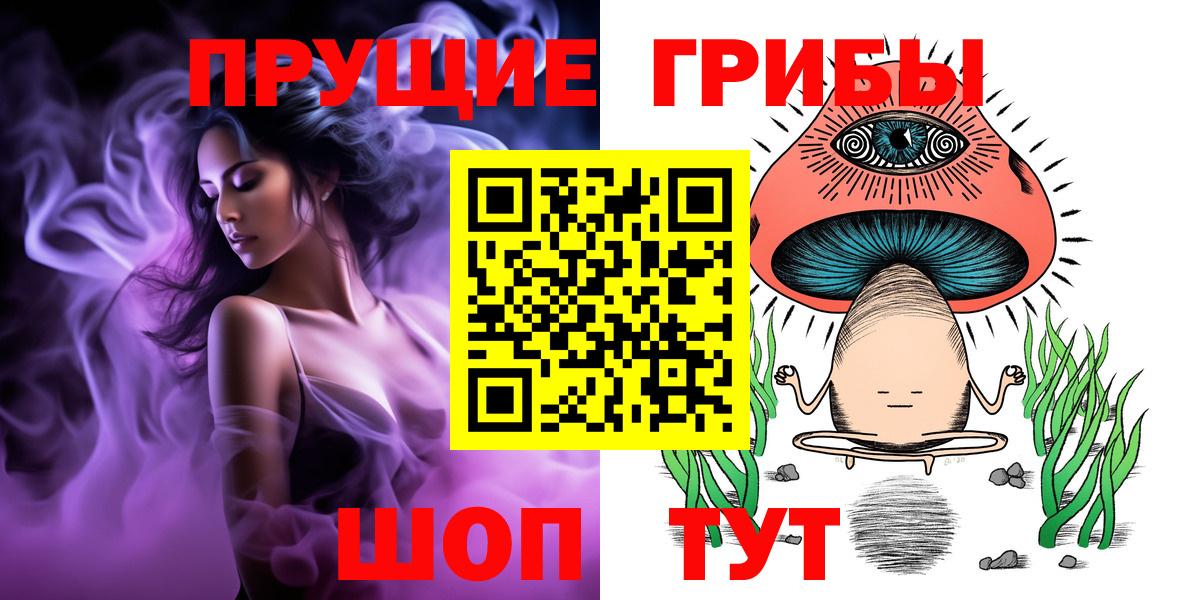 Галлюциногенные грибы Psilocybine cubensis  Вход с VPN  Северск 