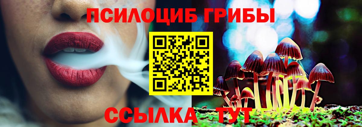 Галлюциногенные грибы ЛСД Северск